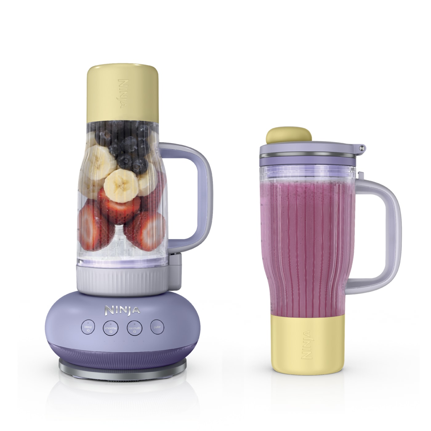 Ninja BlendBOSS Powerful 1200-Watt Ice-Crushing Tumbler Blender Bundle